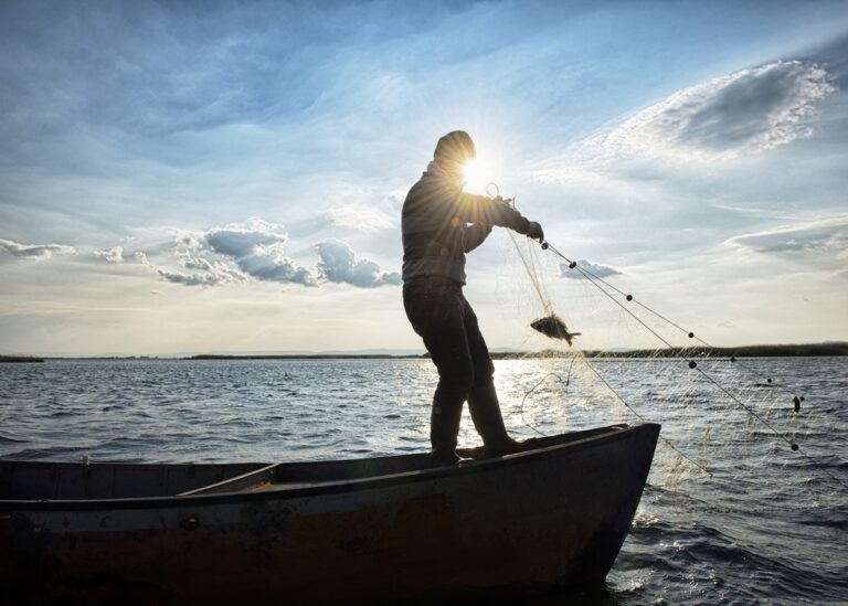 До держбюджету вперше надійшли кошти за промисловий вилов риби