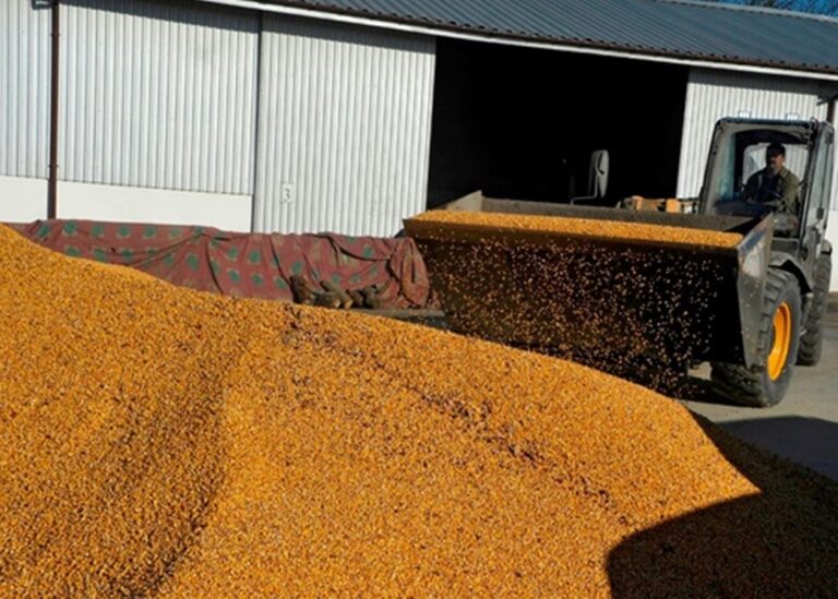 Україна в січні експортувала 3,1 млн тонн зерна