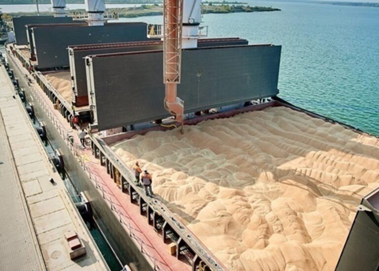 Оголошено виручку України від агроекспорту за рік