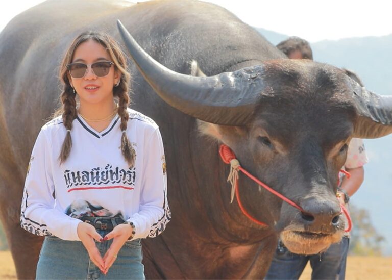 Водяний буйвіл Кінг-Конг встановив світовий рекорд