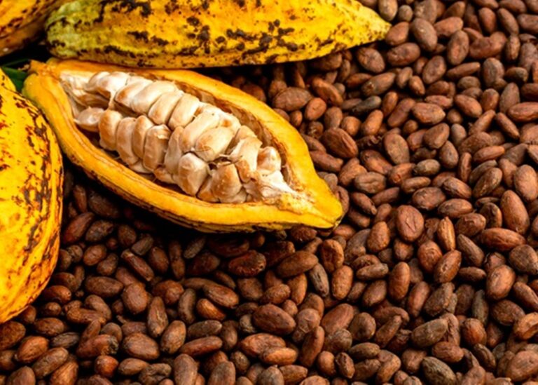 У світі рекордно знизились запаси какао-бобів