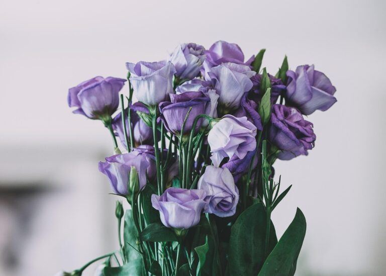 Гороскоп для знаків зодіаку на 7 березня 2025 року