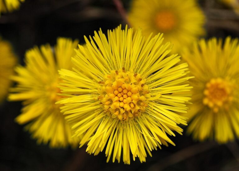 Гороскоп для знаків зодіаку на вихідні 29-30 березня 2025 року