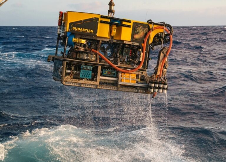 Колосального кальмара вперше побачили в глибинах океану