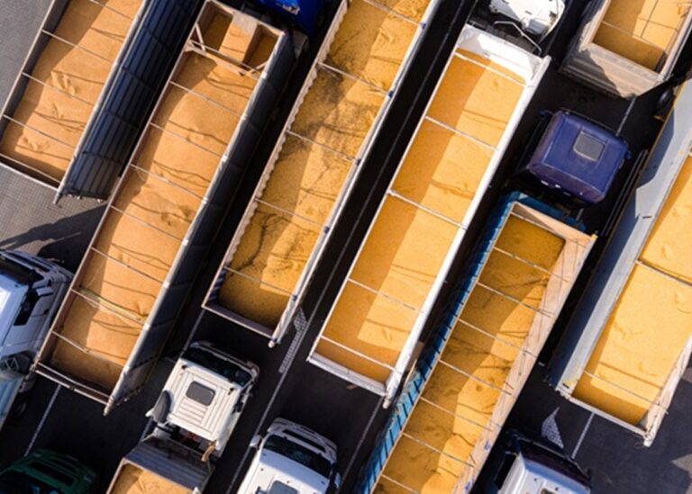 Експорт українського зерна скоротився до 35 млн тонн