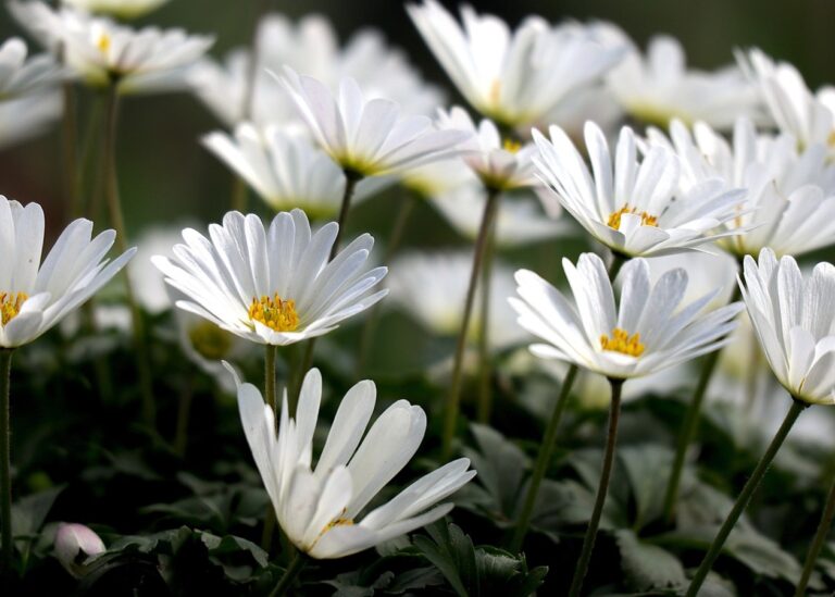 Гороскоп для знаків зодіаку на вихідні 24-25 травня 2025 року