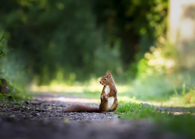 Гороскоп для всіх знаків зодіаку на 29 травня 2025 року