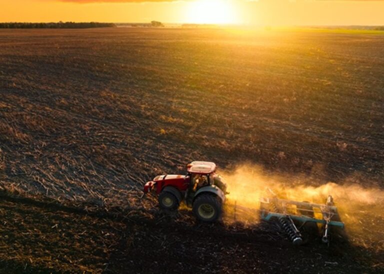 Весняна сівба: аграрії виконали 97% плану