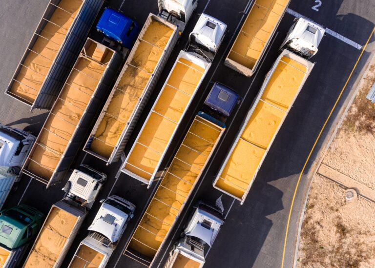 Україна наростила експорт жита