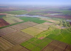 Бджети отримали 25,5 млрд грн земельного податку