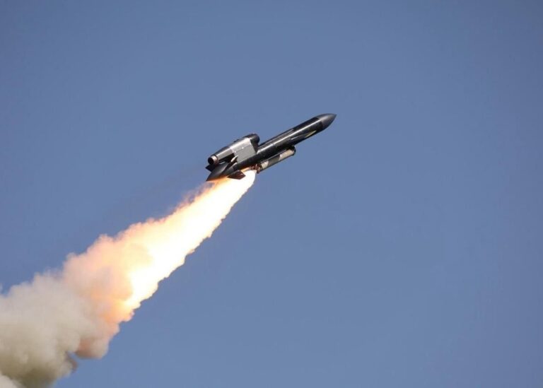 СюжетПерші цілі ракет Фламінго: що вдалось знищити