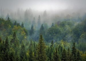 Гороскоп для всіх знаків зодіаку на 5 вересня 2025 року