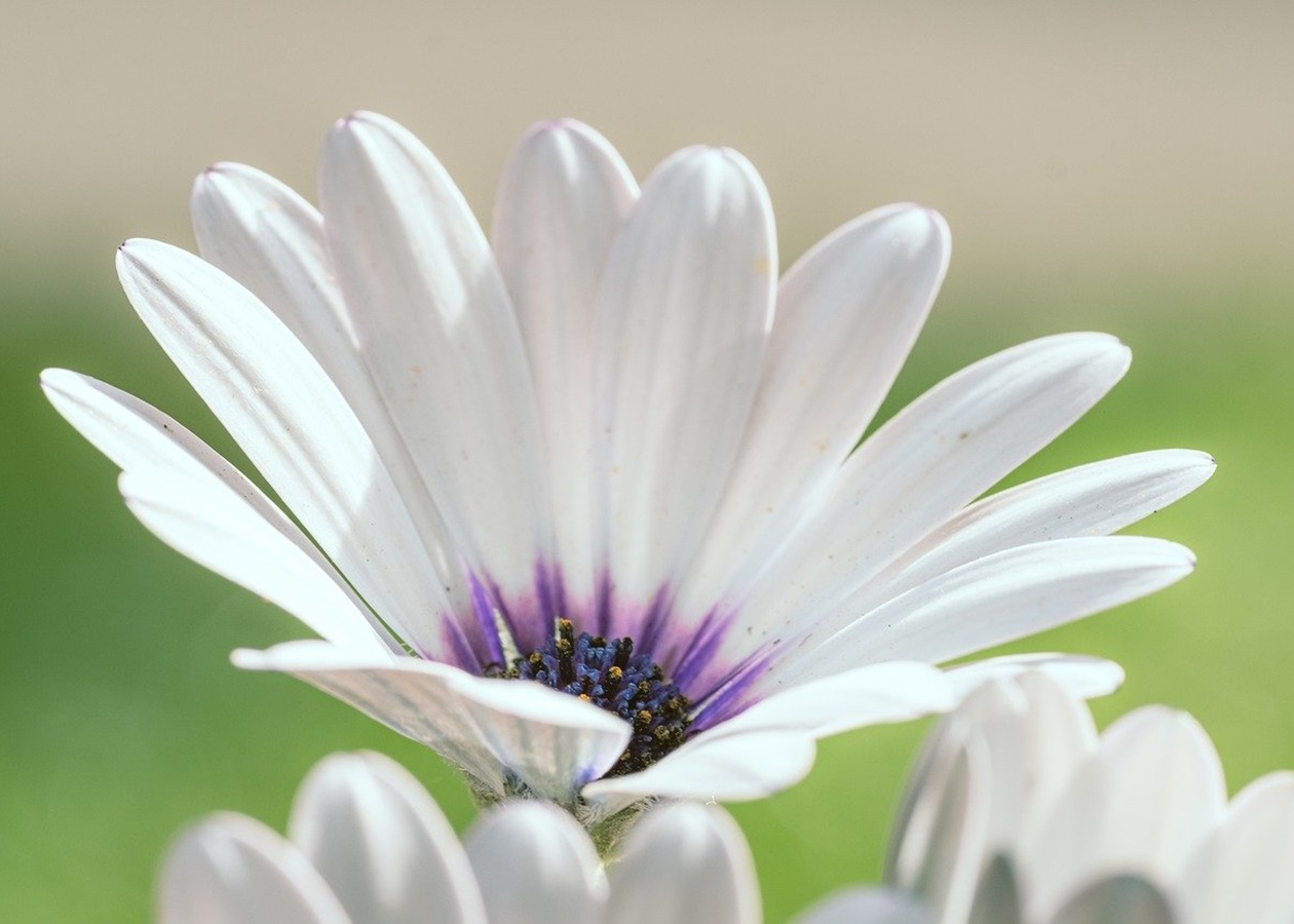 Гороскоп для всіх знаків зодіаку на 20-21 вересня 2025 року