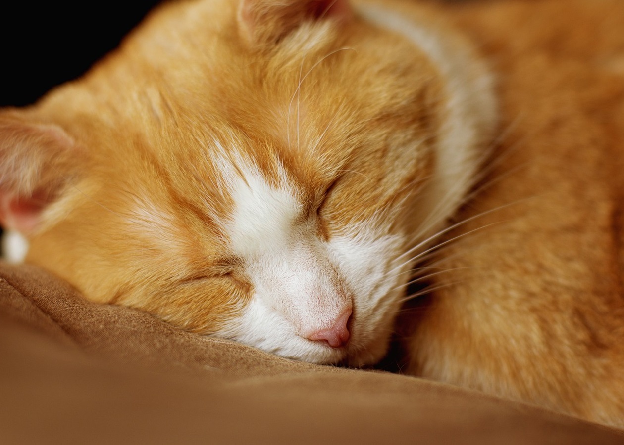 Гороскоп для всіх знаків зодіаку на 1 жовтня 2025 року