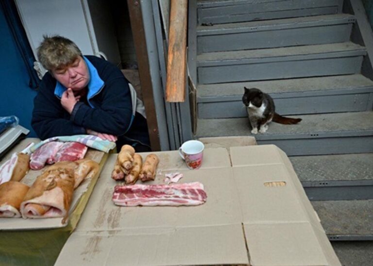 Ціни на м'ясо сягнули історичного максимуму – ООН