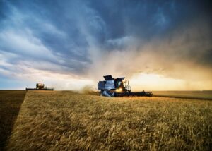 Українські аграрії обмолотили 65% зернових площ