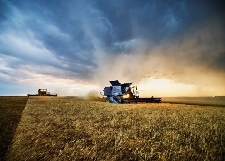 Українські аграрії обмолотили 65% зернових площ