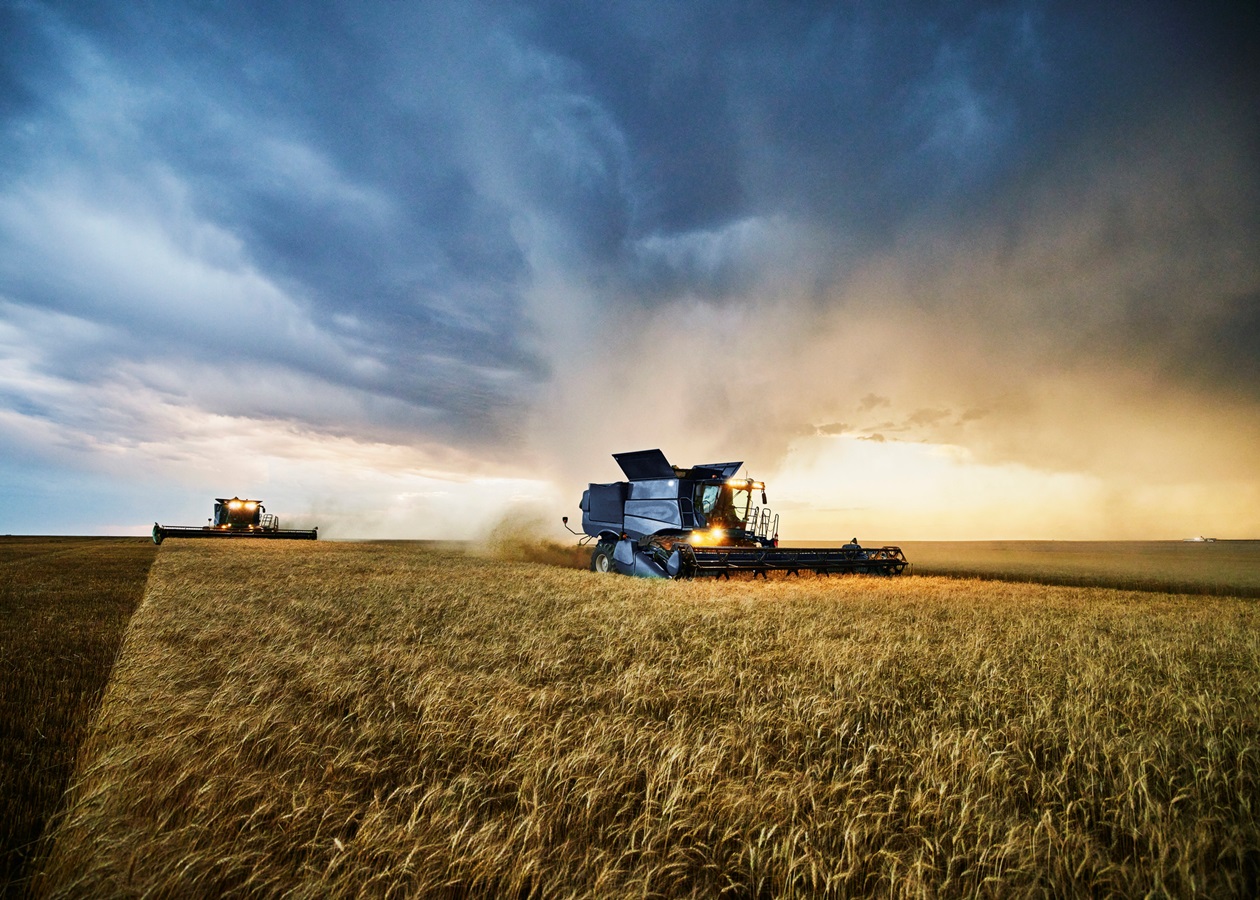 Українські аграрії обмолотили 65% зернових площ