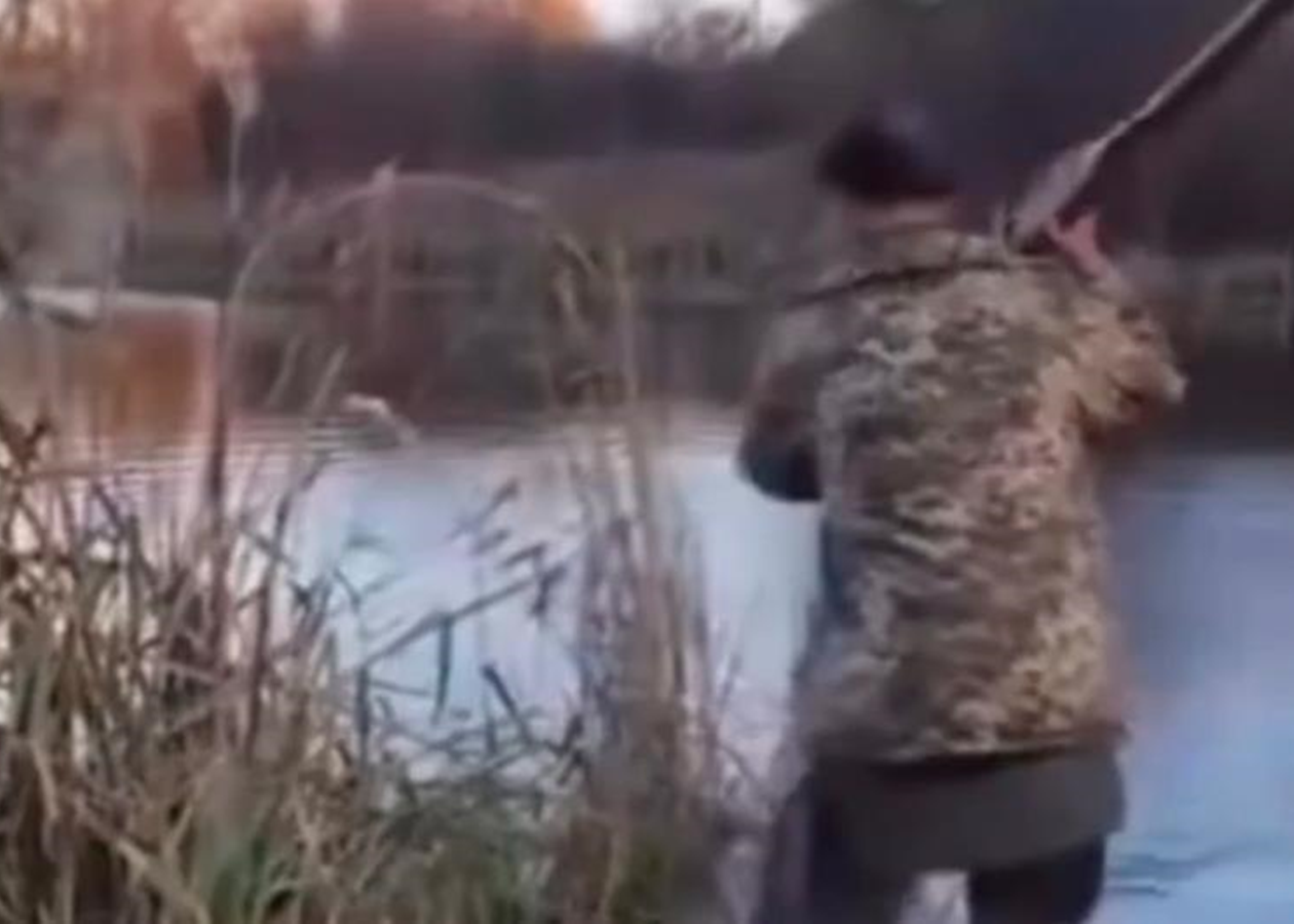 На Житомирщині чоловік вбив вагітну кішку веслом