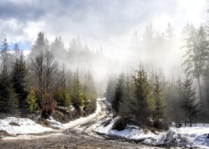 Гороскоп для всіх знаків зодіаку на 16 січня 2026 року