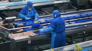 Український агрогігант виходить на новий рівень: МХП купує одного з найбільших виробників курятини в Греції