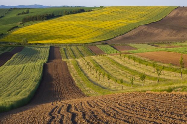 Є три варіанти! Як продати земельну ділянку без податків у 2026 році