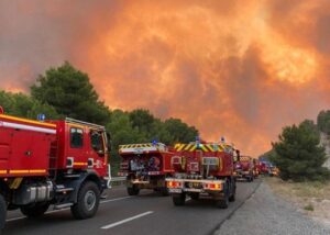 У Франції вогонь знищив близько 930 гектарів лісу
