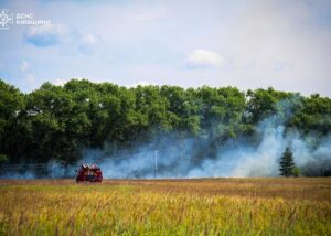 Рятувальники ліквідували пожежу у Чорнобильській зоні