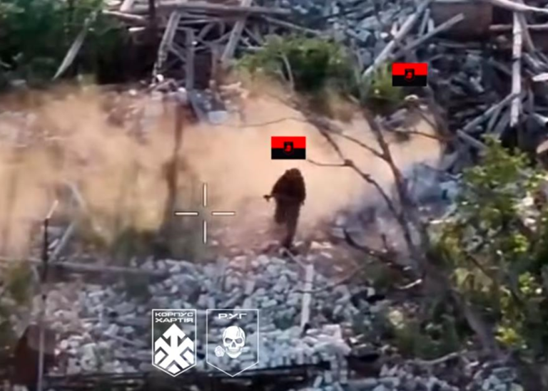 ЗСУ взяли під контроль лісовий масив на Куп'янщині
